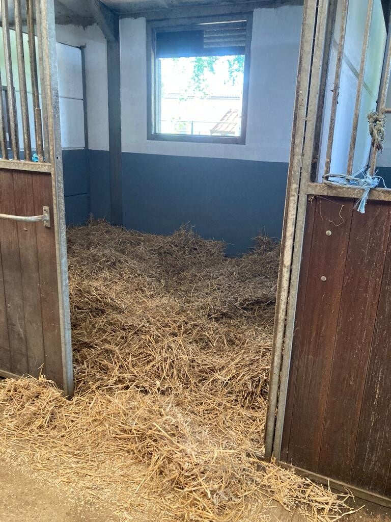 Een lichte paardenbox bij De Rosrakkers